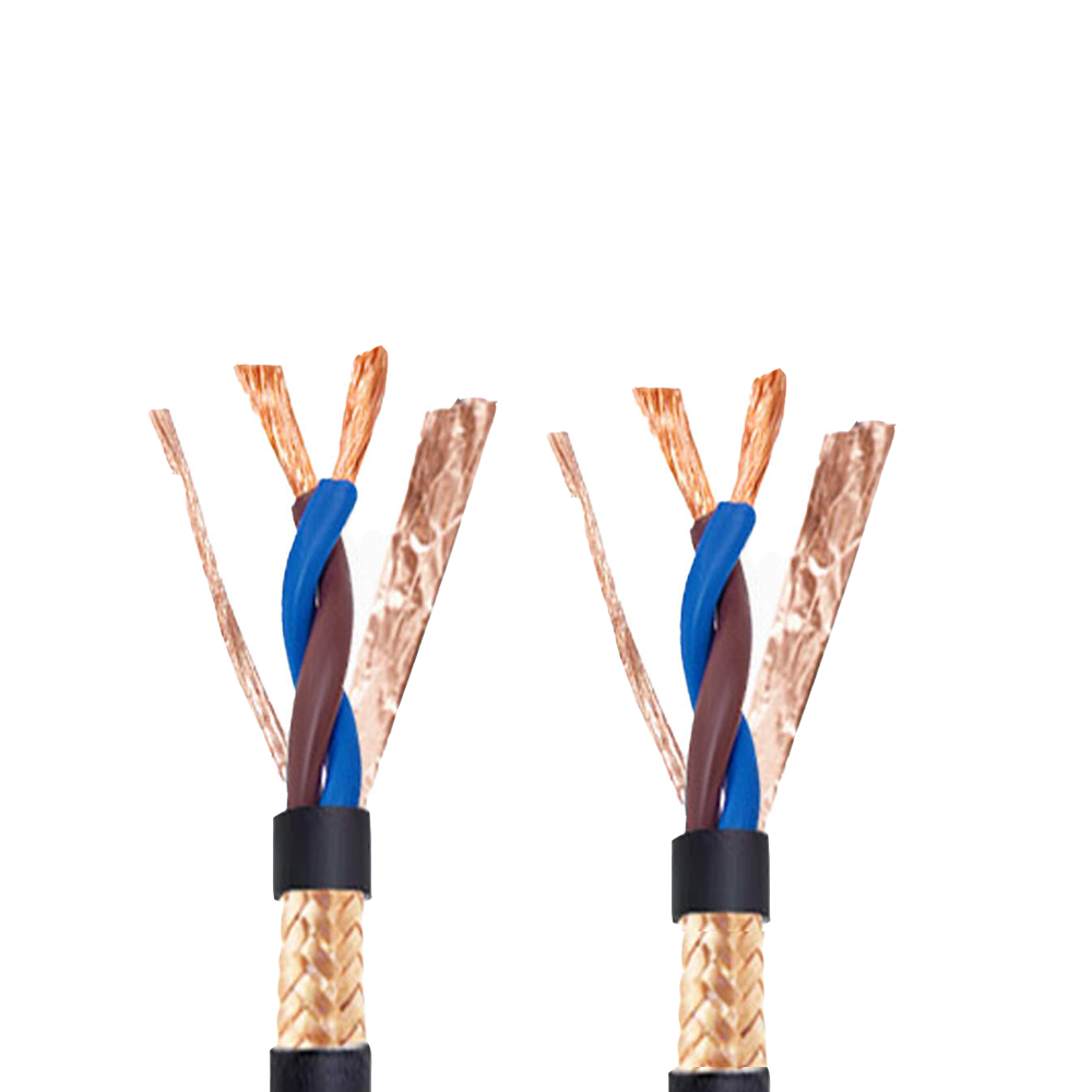 سیم ساختمان RVSP/NH-RVSP 300/300V
